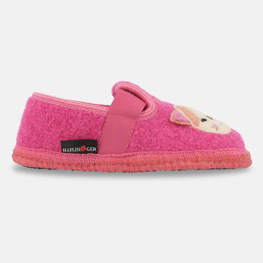 Pets Slipper