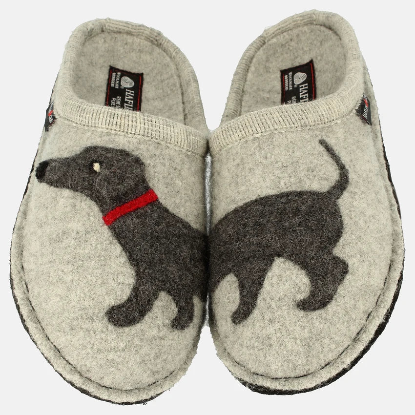 Dachshund