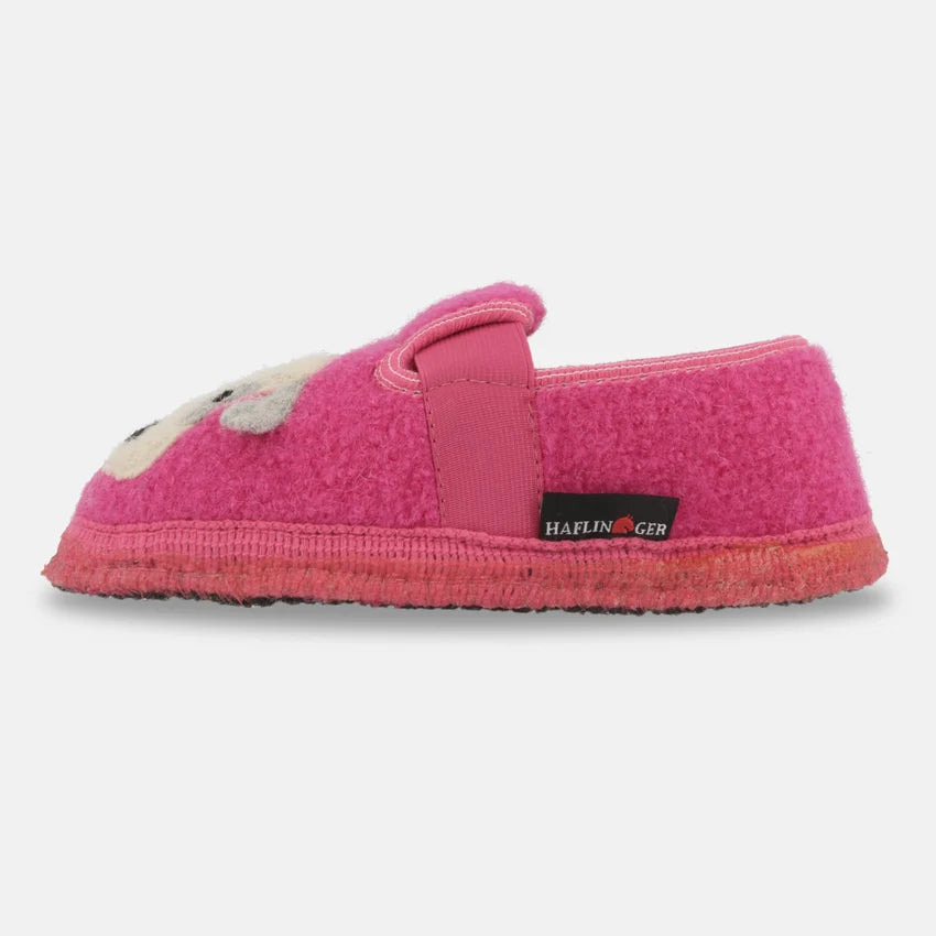 Pets Slipper