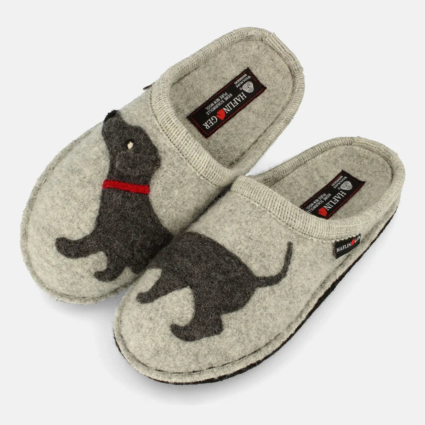 Dachshund