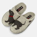 Dachshund