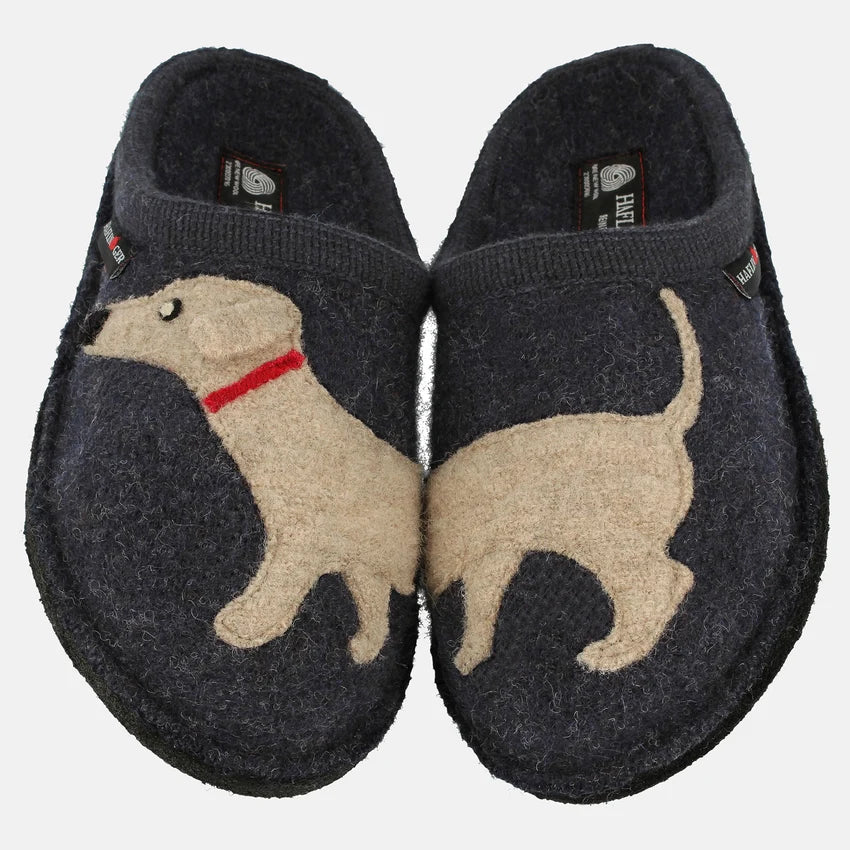 Dachshund