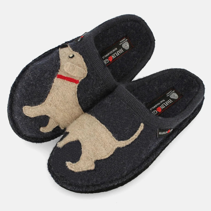 Dachshund